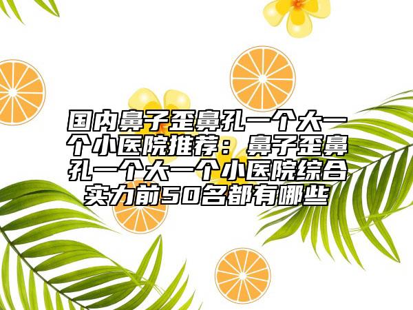 国内鼻子歪鼻孔一个大一个小医院推荐：鼻子歪鼻孔一个大一个小医院综合实力前50名都有哪些