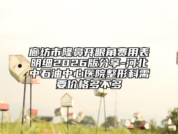 廊坊市隆鼻开眼角费用表明细2026版分享-河北中石油中心医院整形科需要价格多不多