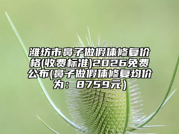 潍坊市鼻子做假体修复价格(收费标准)2026免费公布(鼻子做假体修复均价为：8759元）