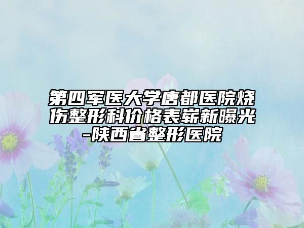 第四军医大学唐都医院烧伤整形科价格表崭新曝光-陕西省整形医院