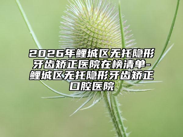 2026年鲤城区无托隐形牙齿矫正医院在榜清单-鲤城区无托隐形牙齿矫正口腔医院
