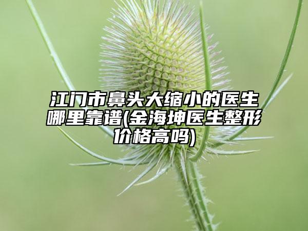 江门市鼻头大缩小的医生哪里靠谱(金海坤医生整形价格高吗)