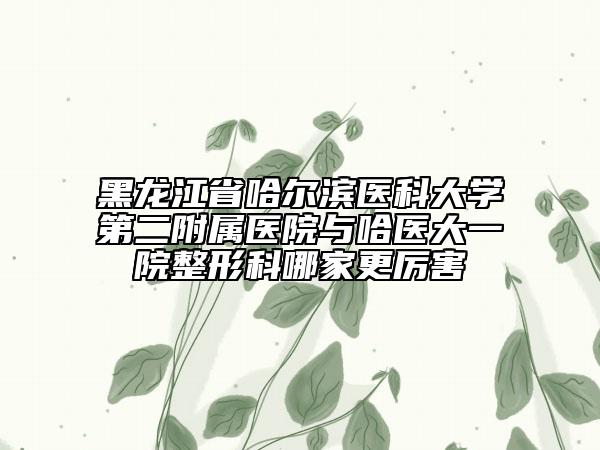 黑龙江省哈尔滨医科大学第二附属医院与哈医大一院整形科哪家更厉害