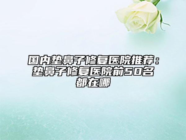 国内垫鼻子修复医院推荐：垫鼻子修复医院前50名都在哪