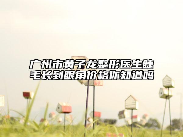广州市黄子龙整形医生睫毛长到眼角价格你知道吗