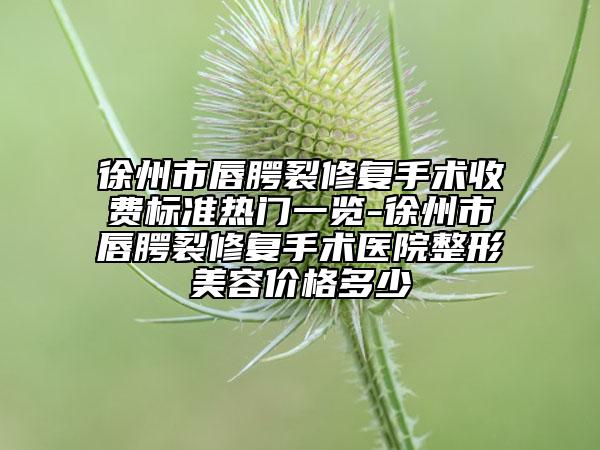 徐州市唇腭裂修复手术收费标准热门一览-徐州市唇腭裂修复手术医院整形美容价格多少
