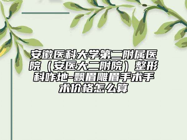 安徽医科大学第二附属医院（安医大二附院）整形科咋地-飘眉雕眉手术手术价格怎么算