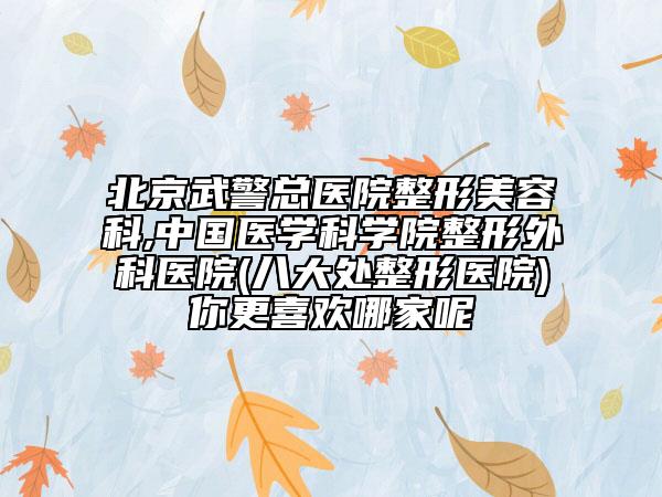 北京武警总医院整形美容科,中国医学科学院整形外科医院(八大处整形医院)你更喜欢哪家呢