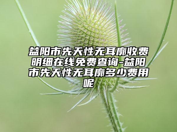益阳市先天性无耳廓收费明细在线免费查询-益阳市先天性无耳廓多少费用呢