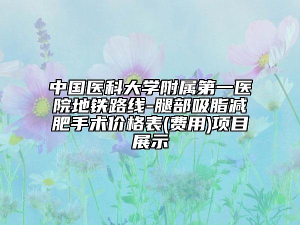 中国医科大学附属第一医院地铁路线-腿部吸脂减肥手术价格表(费用)项目展示