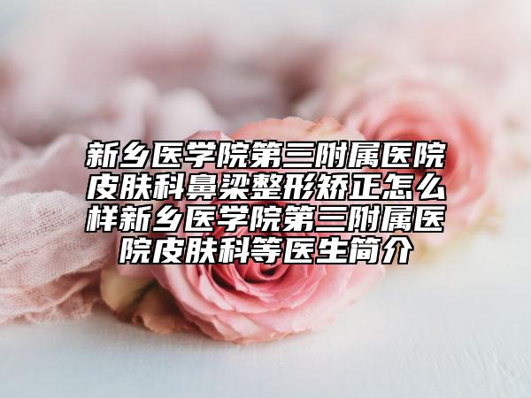 新乡医学院第三附属医院皮肤科鼻梁整形矫正怎么样新乡医学院第三附属医院皮肤科等医生简介