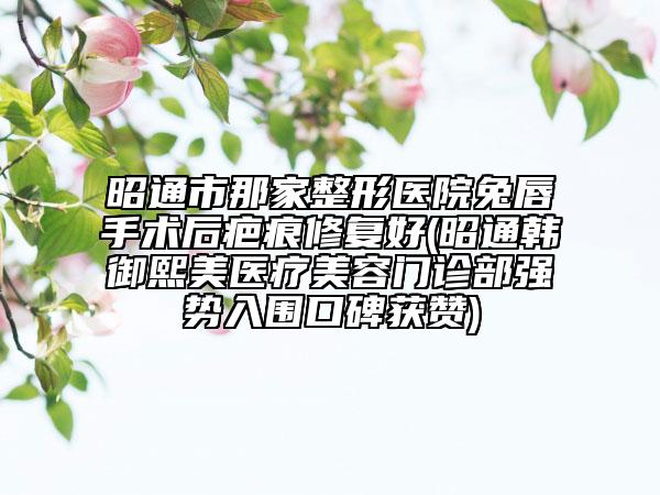 昭通市那家整形医院兔唇手术后疤痕修复好(昭通韩御熙美医疗美容门诊部强势入围口碑获赞)