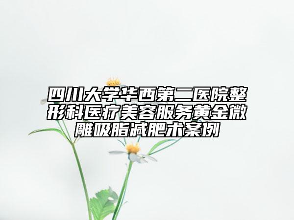 四川大学华西第二医院整形科医疗美容服务黄金微雕吸脂减肥术案例