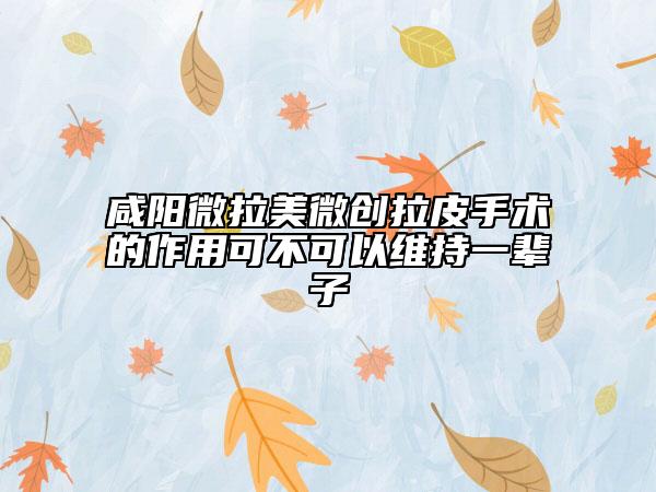 咸阳微拉美微创拉皮手术的作用可不可以维持一辈子
