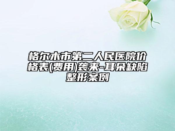 格尔木市第二人民医院价格表(费用)袭来-耳朵缺陷整形案例