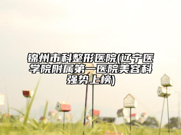 锦州市科整形医院(辽宁医学院附属第一医院美容科强势上榜)