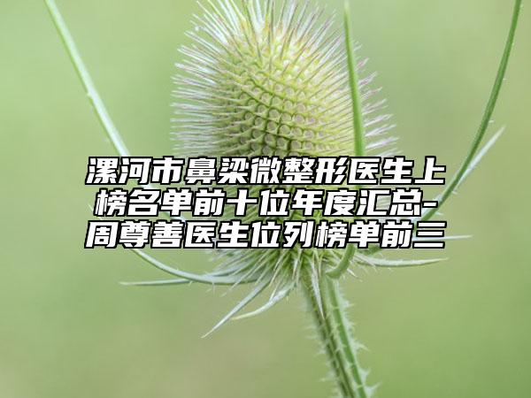 漯河市鼻梁微整形医生上榜名单前十位年度汇总-周尊善医生位列榜单前三