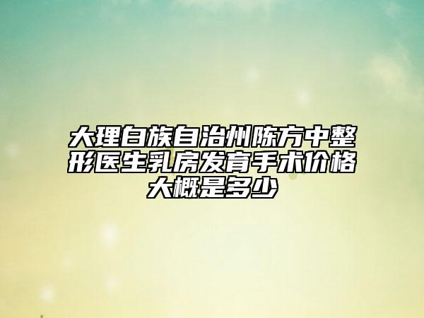 大理白族自治州陈方中整形医生乳房发育手术价格大概是多少