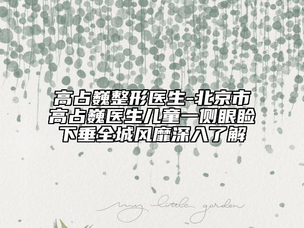 高占巍整形医生-北京市高占巍医生儿童一侧眼睑下垂全城风靡深入了解