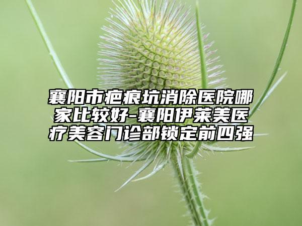 襄阳市疤痕坑消除医院哪家比较好-襄阳伊莱美医疗美容门诊部锁定前四强