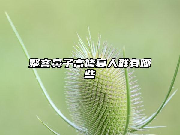 整容鼻子高修复人群有哪些