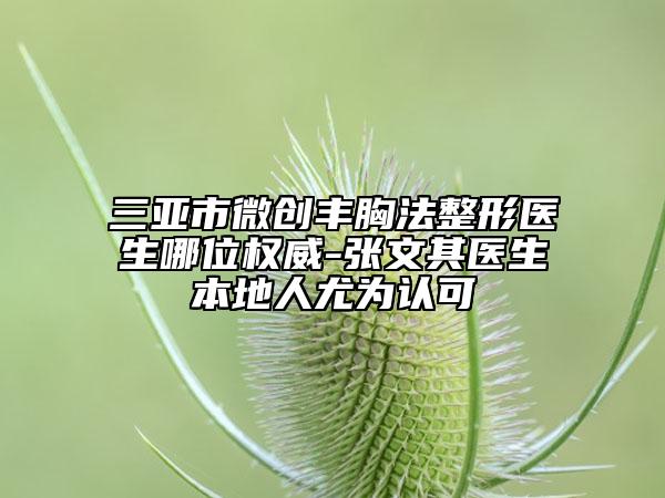 三亚市微创丰胸法整形医生哪位权威-张文其医生本地人尤为认可