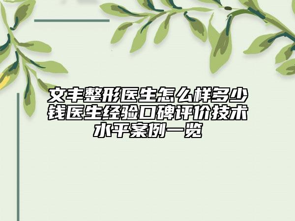 文丰整形医生怎么样多少钱医生经验口碑评价技术水平案例一览