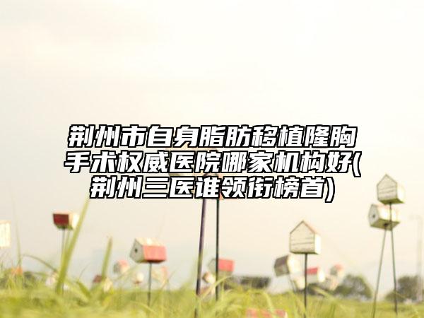 荆州市自身脂肪移植隆胸手术权威医院哪家机构好(荆州三医谁领衔榜首)