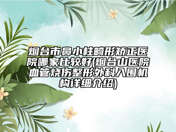 烟台市鼻小柱畸形矫正医院哪家比较好(烟台山医院血管烧伤整形外科入围机构详细介绍)