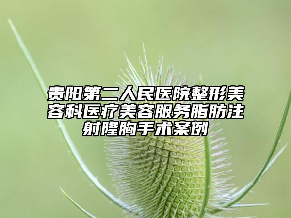 贵阳第二人民医院整形美容科医疗美容服务脂肪注射隆胸手术案例