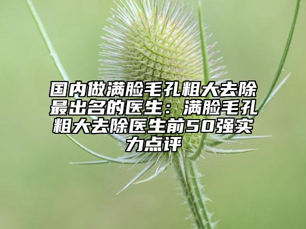 国内做满脸毛孔粗大去除最出名的医生：满脸毛孔粗大去除医生前50强实力点评
