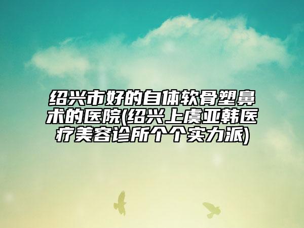 绍兴市好的自体软骨塑鼻术的医院(绍兴上虞亚韩医疗美容诊所个个实力派)
