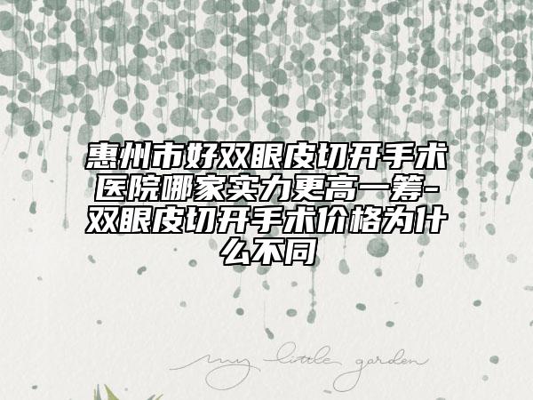 惠州市好双眼皮切开手术医院哪家实力更高一筹-双眼皮切开手术价格为什么不同