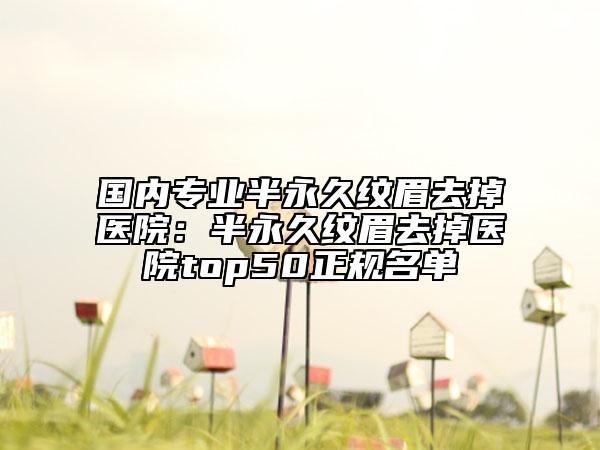 国内专业半永久纹眉去掉医院：半永久纹眉去掉医院top50正规名单