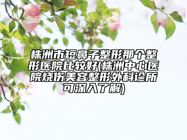 株洲市短鼻子整形那个整形医院比较好(株洲中心医院烧伤美容整形外科诊所可深入了解)