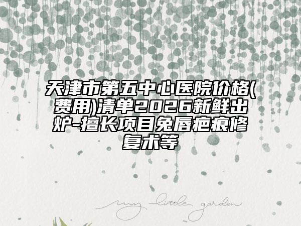 天津市第五中心医院价格(费用)清单2026新鲜出炉-擅长项目兔唇疤痕修复术等