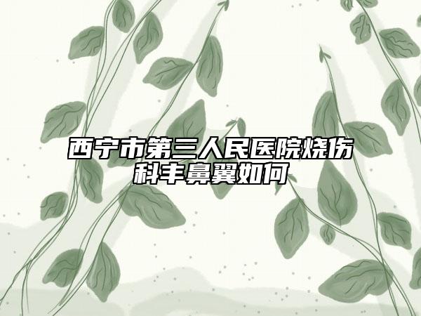 西宁市第三人民医院烧伤科丰鼻翼如何