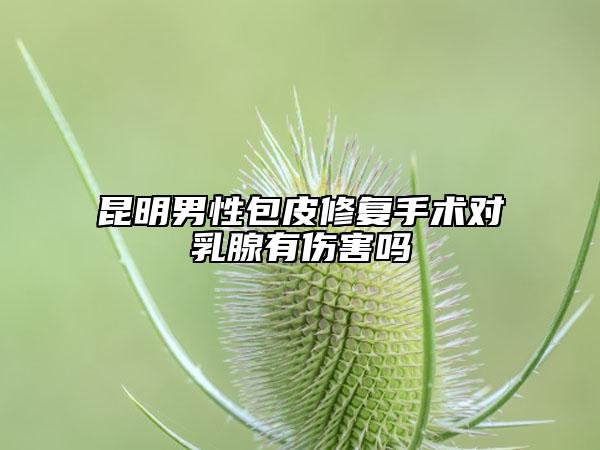 昆明男性包皮修复手术对乳腺有伤害吗