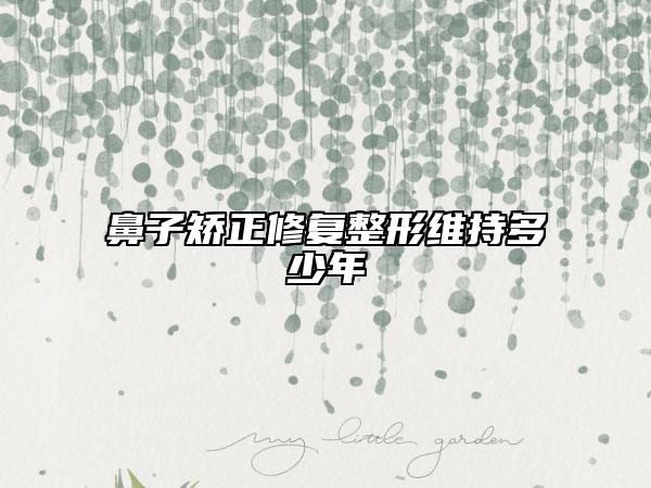 鼻子矫正修复整形维持多少年