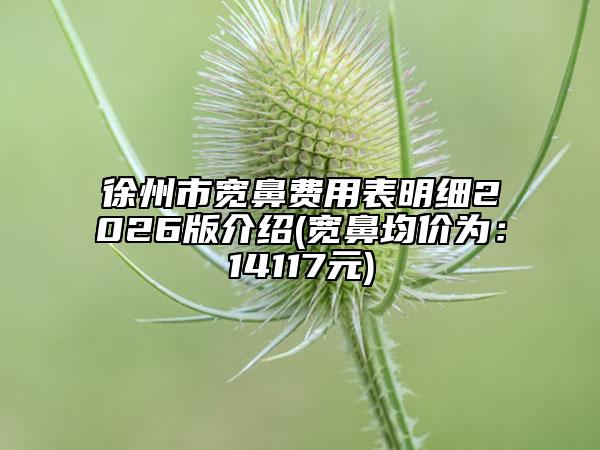 徐州市宽鼻费用表明细2026版介绍(宽鼻均价为：14117元)