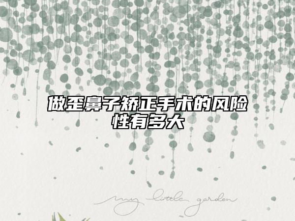 做歪鼻子矫正手术的风险性有多大