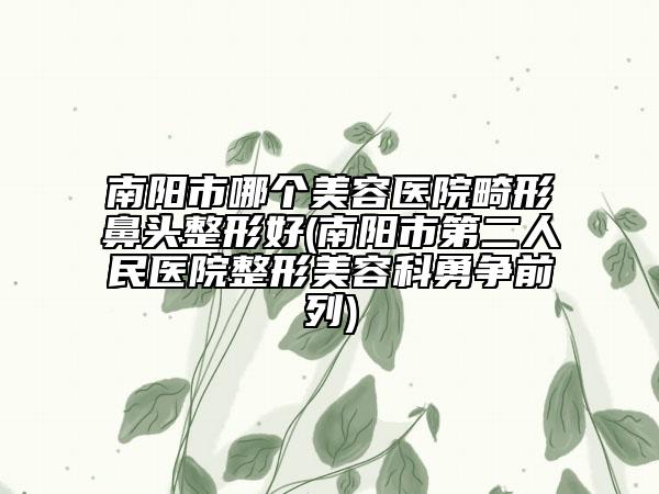 南阳市哪个美容医院畸形鼻头整形好(南阳市第二人民医院整形美容科勇争前列)