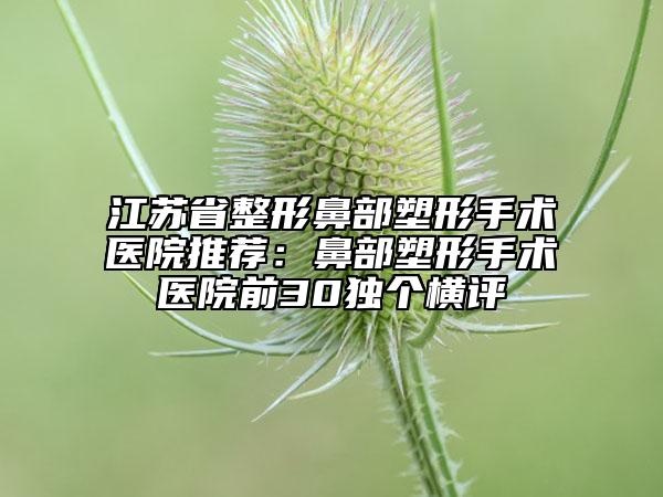 江苏省整形鼻部塑形手术医院推荐：鼻部塑形手术医院前30独个横评