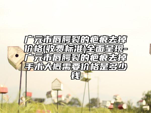 广元市唇腭裂的疤痕去掉价格(收费标准)全面呈现-广元市唇腭裂的疤痕去掉手术大概需要价格是多少钱
