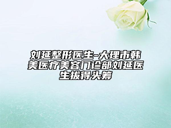刘延整形医生-大理市韩美医疗美容门诊部刘延医生拔得头筹