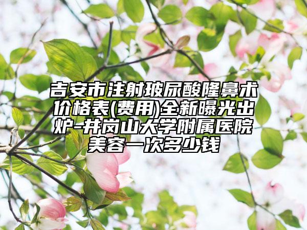 吉安市注射玻尿酸隆鼻术价格表(费用)全新曝光出炉-井岗山大学附属医院美容一次多少钱