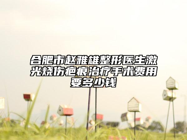 合肥市赵雅雄整形医生激光烧伤疤痕治疗手术费用要多少钱