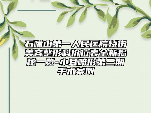 石嘴山第一人民医院烧伤美容整形科价位表全新揭秘一览-小耳畸形第三期手术案例