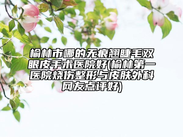 榆林市哪的无痕翘睫毛双眼皮手术医院好(榆林第一医院烧伤整形与皮肤外科网友点评好)