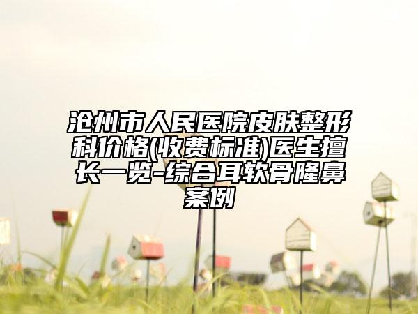 沧州市人民医院皮肤整形科价格(收费标准)医生擅长一览-综合耳软骨隆鼻案例